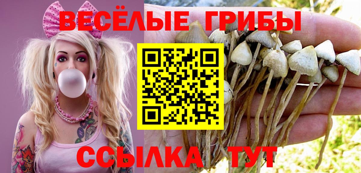 Галлюциногенные грибы мухоморы Тула