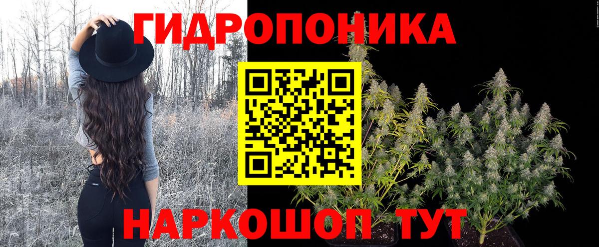 Бошки Шишки планчик Тула